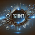 bizhunet